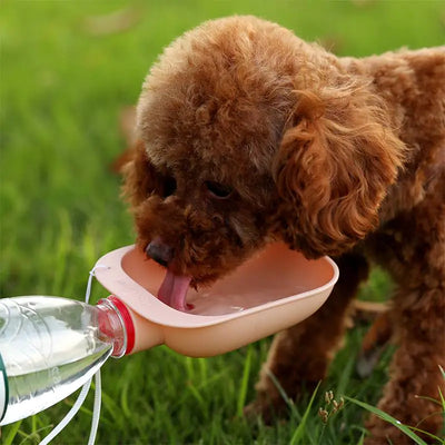 PawDrop Dog Water Bottle - In Use